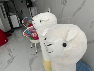 LLAMA Homestay Hotel – 照片 10